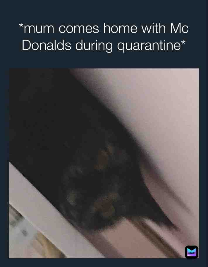 Yes this is my cat  #foryou  #mcdonalds  #quarentine  #cat