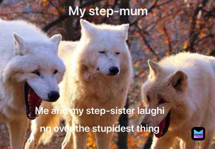 This is too true  #stepsister  #stepmum