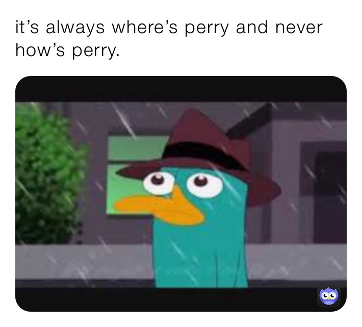 it’s always where’s perry and never how’s perry.