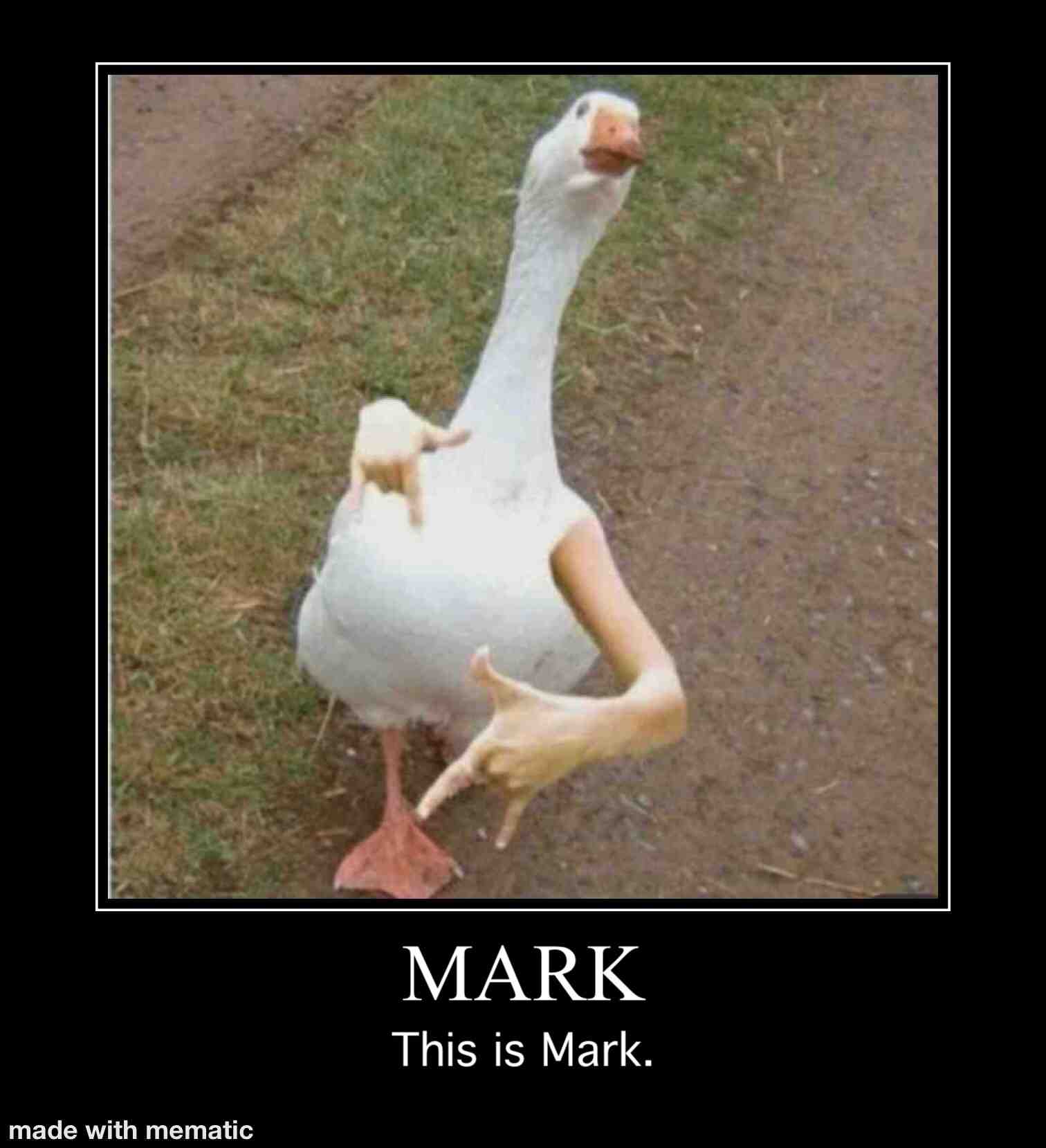 He is Mark.