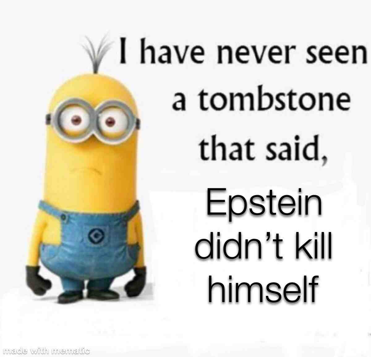 ​ #ironicminionmemes  #epsteindidntkillhimself