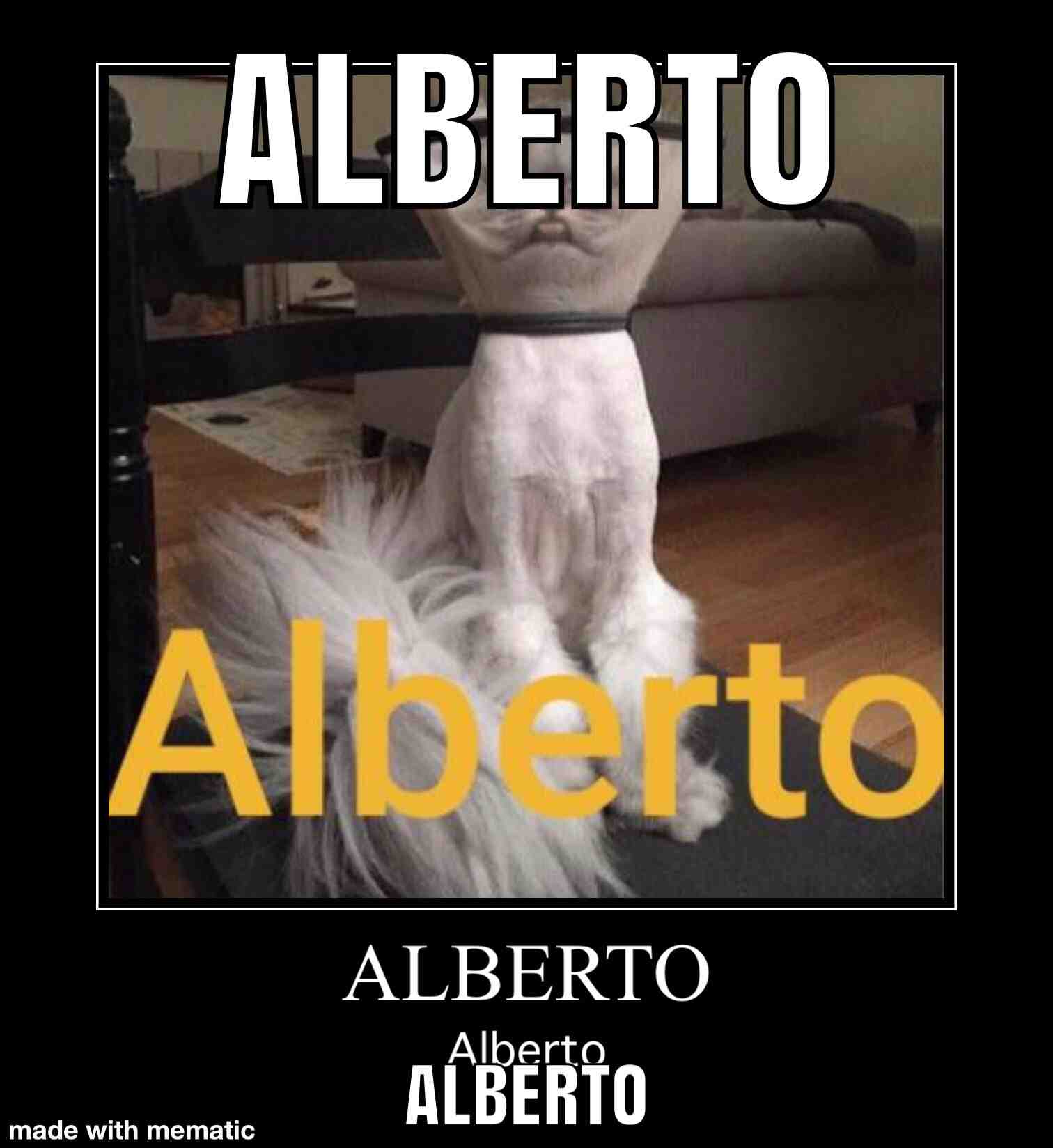 Alberto