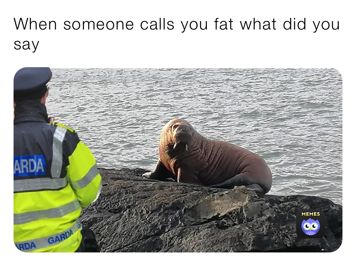 When someone calls you fat what did you say￼￼