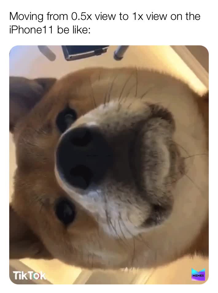 Meme shared by @imsippintea
