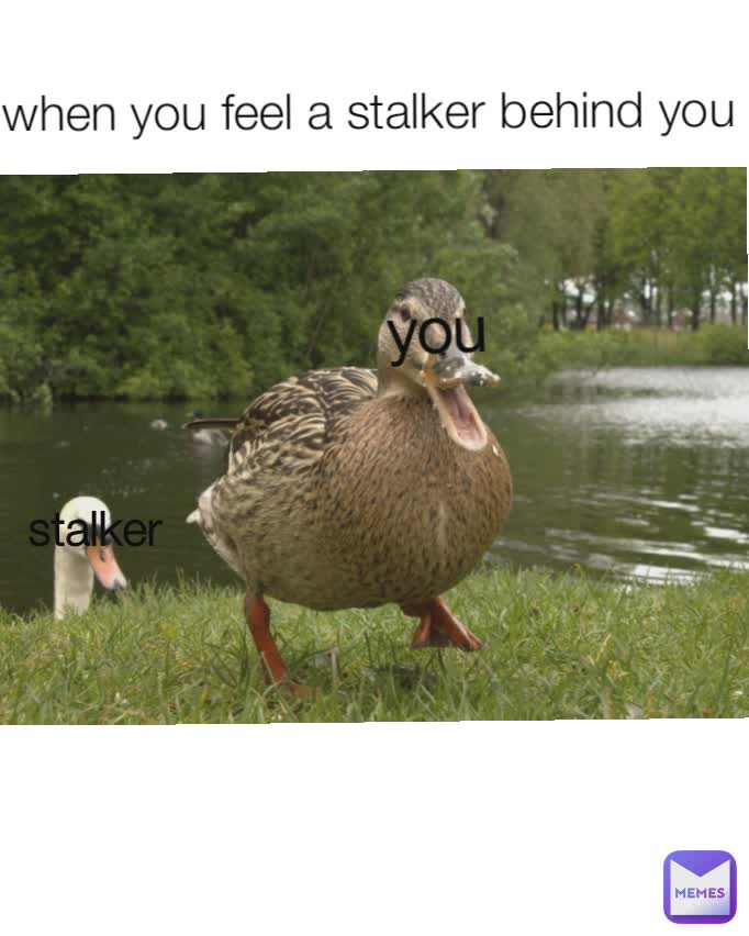 when you feel a stalker behind you  you
 stalker
