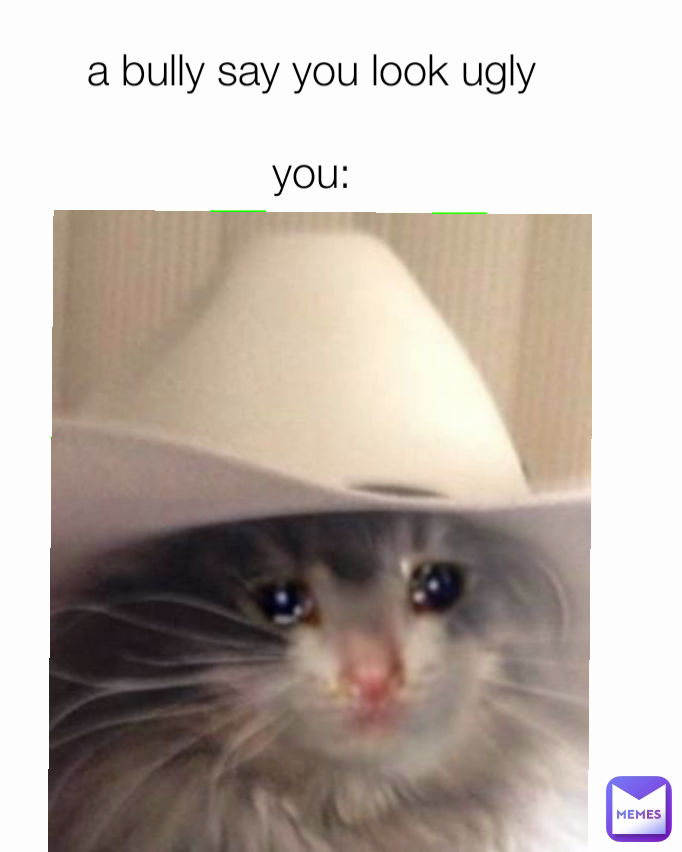 a bully say you look ugly

you: