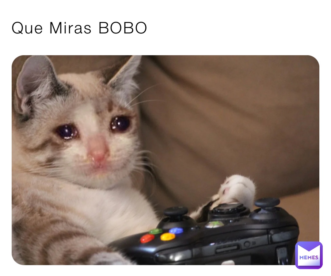 Que Miras BOBO