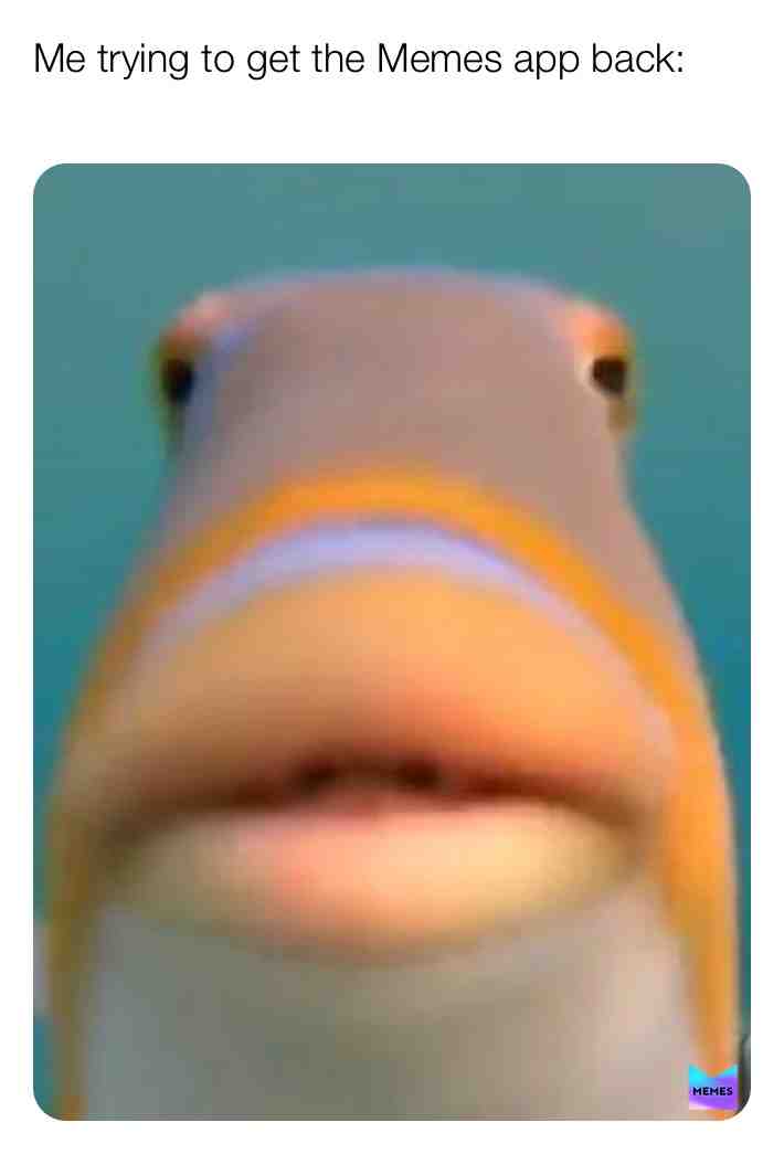Meme shared by @frenchiez