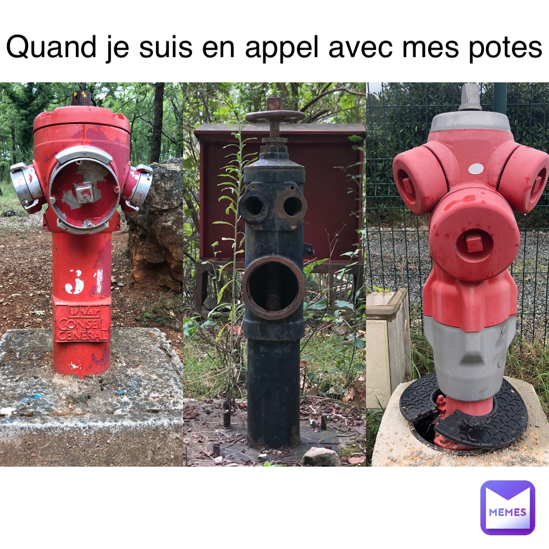 Quand je suis en appel avec mes potes