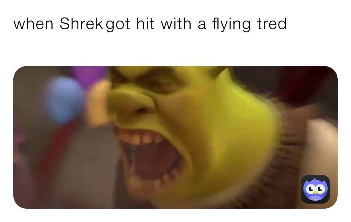when Shrek￼￼got hit with a flying tred￼
