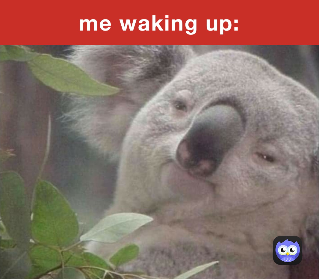 me waking up: | @ufb4r2zp7r | Memes