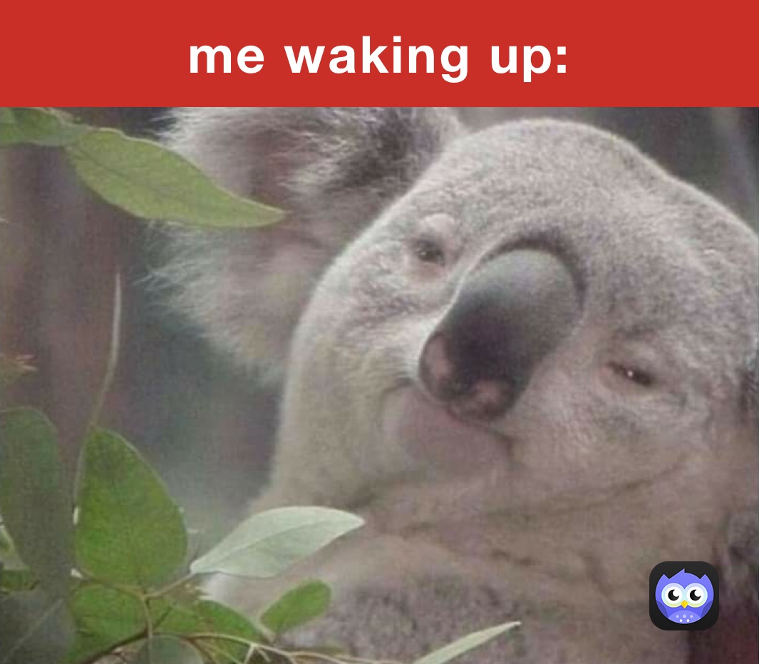 me-waking-up-ufb4r2zp7r-memes