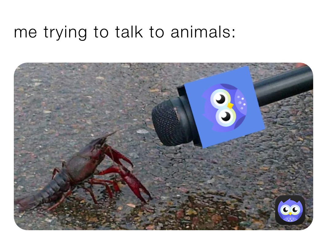 me trying to talk to animals: