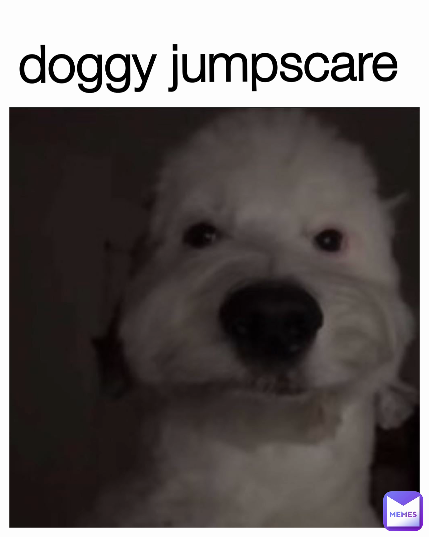 doggy jumpscare