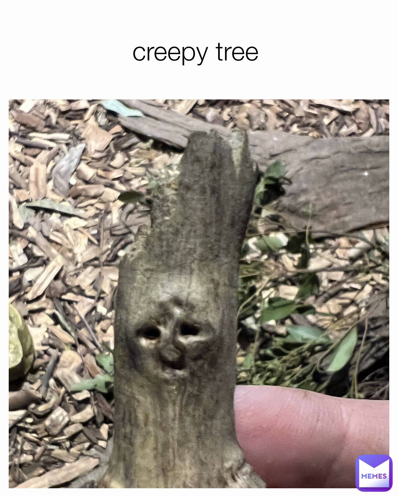 creepy tree 