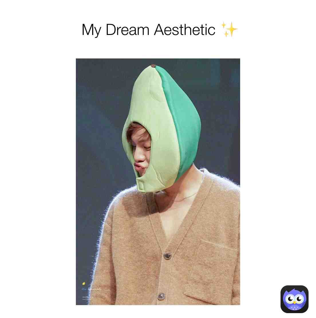 This is the best aesthetic 😌❤️ #comedy #funny #memes #kpopmemes #monstax #shownu #kpopmemes #lol #like #comment #share #bts #kpop #btsmemes