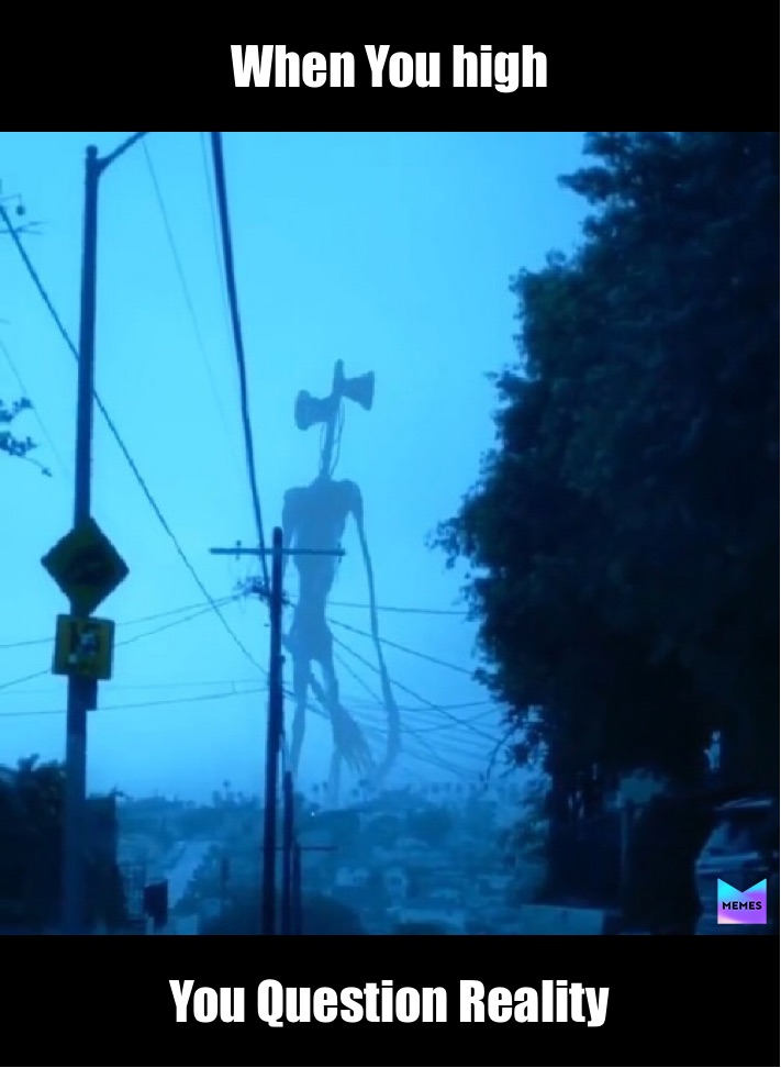 Meme by g1gamester2005