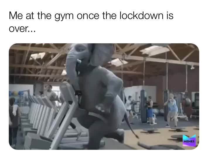 #lockdown  #aftereffects  #funnymemes  #meme  #memes  #2020  #memeoftheyear  #coronaviruschallenge  #fatjokes  #fatass
