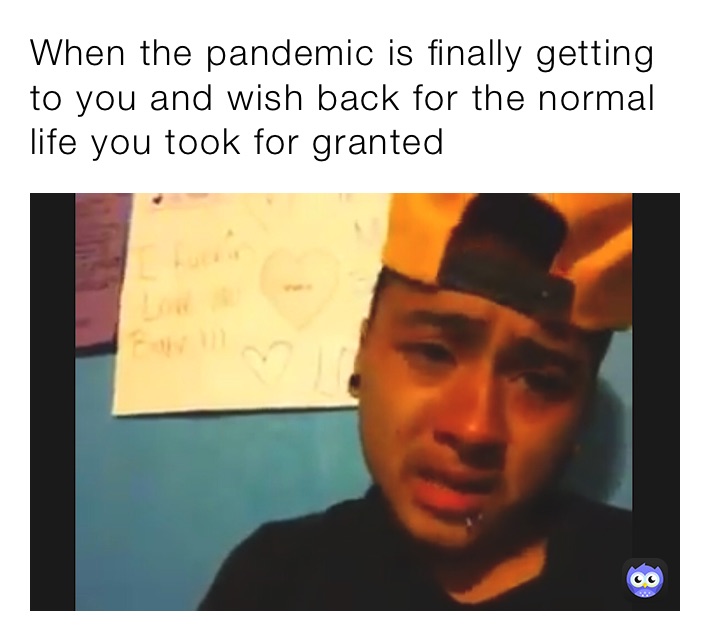 When the pandemic is finally getting to you and wish back for the normal life you took for granted 