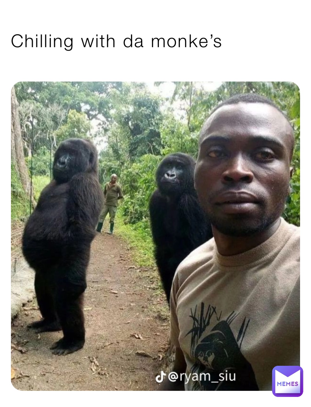 Chilling with da monke’s