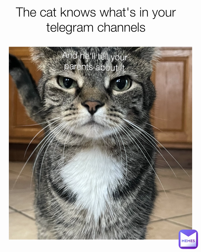 And he'll tell your parents about it
 The cat knows what's in your telegram channels
