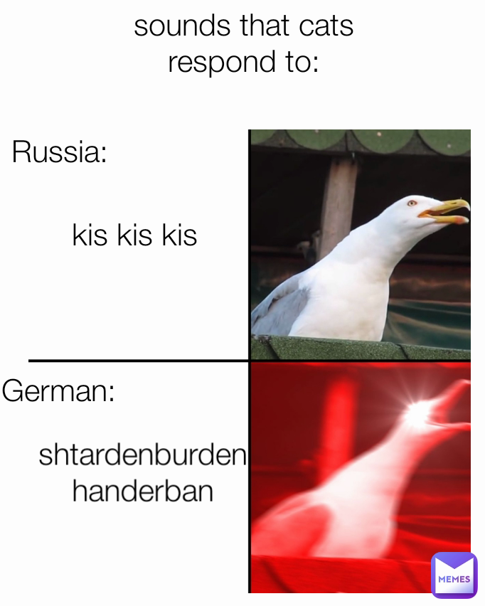 sounds that cats respond to: German: Russia: kis kis kis shtardenburdenhanderban