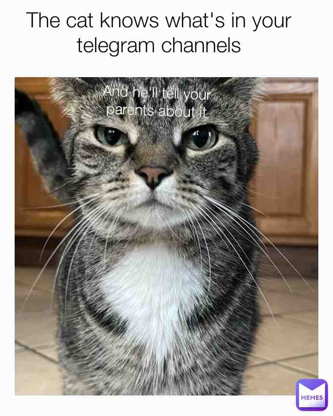 Meme shared by @hdjsbdjdnsms