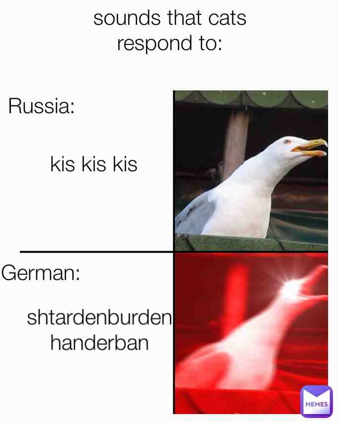Meme shared by @hdjsbdjdnsms