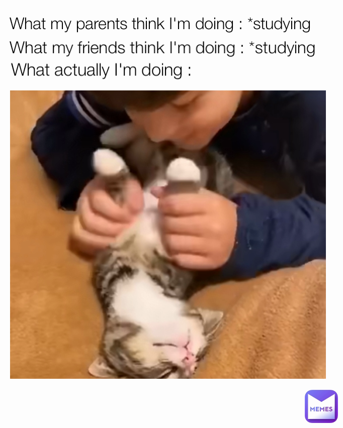 What my parents think I'm doing : *studying What actually I'm doing :  What my friends think I'm doing : *studying