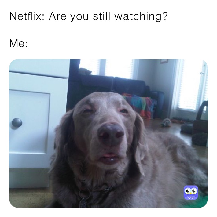 Netflix: Are you still watching?

Me: