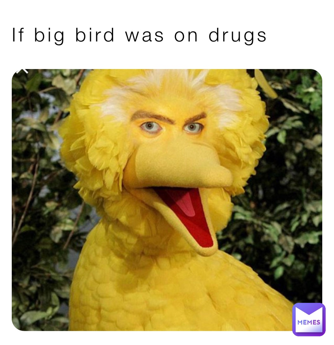 If big bird was on drugs