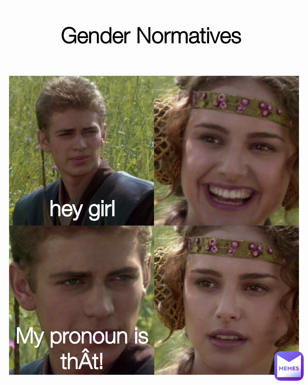 hey girl  Gender Normatives My pronoun is thÂt!