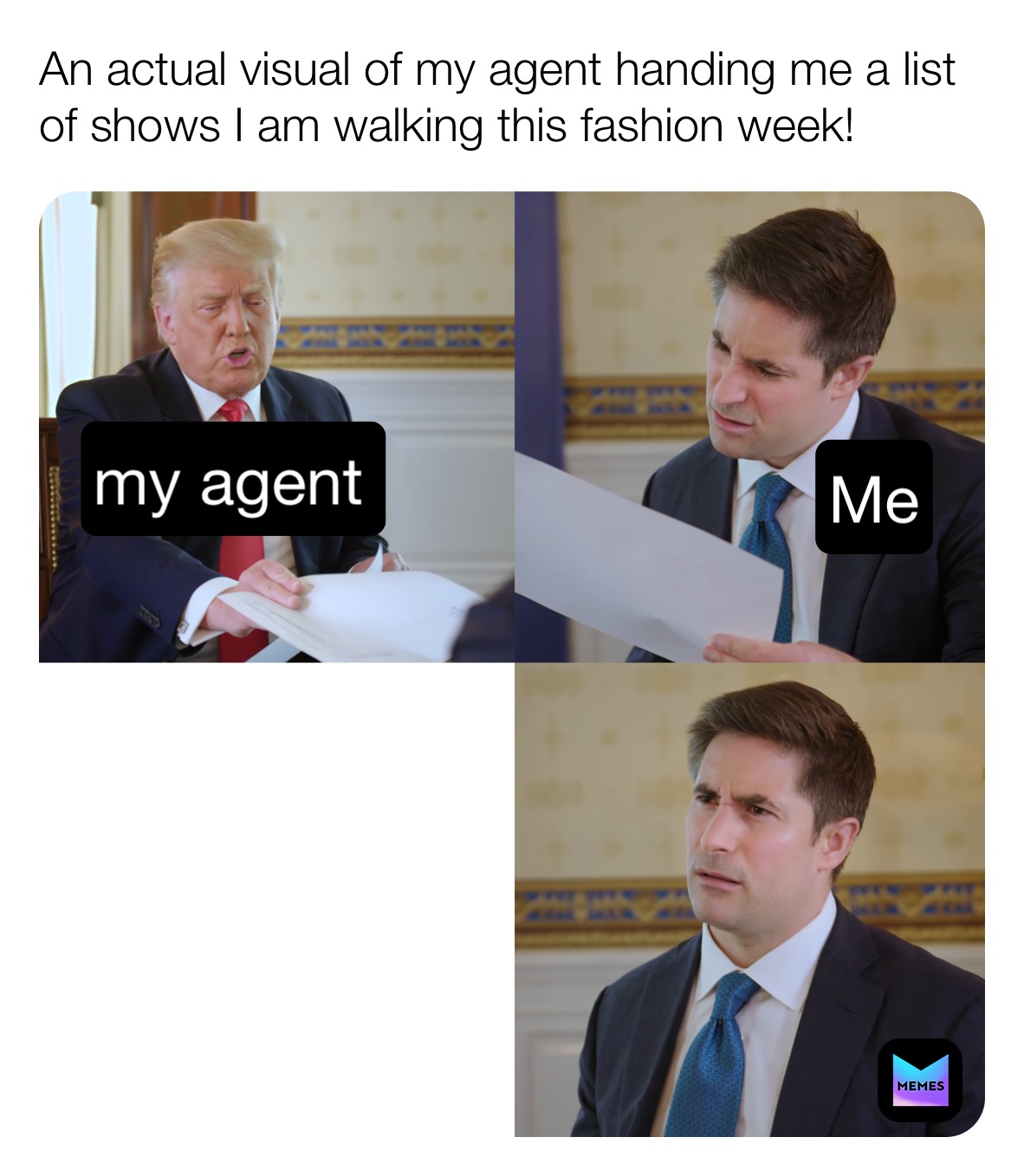 Meme by the_model_memer