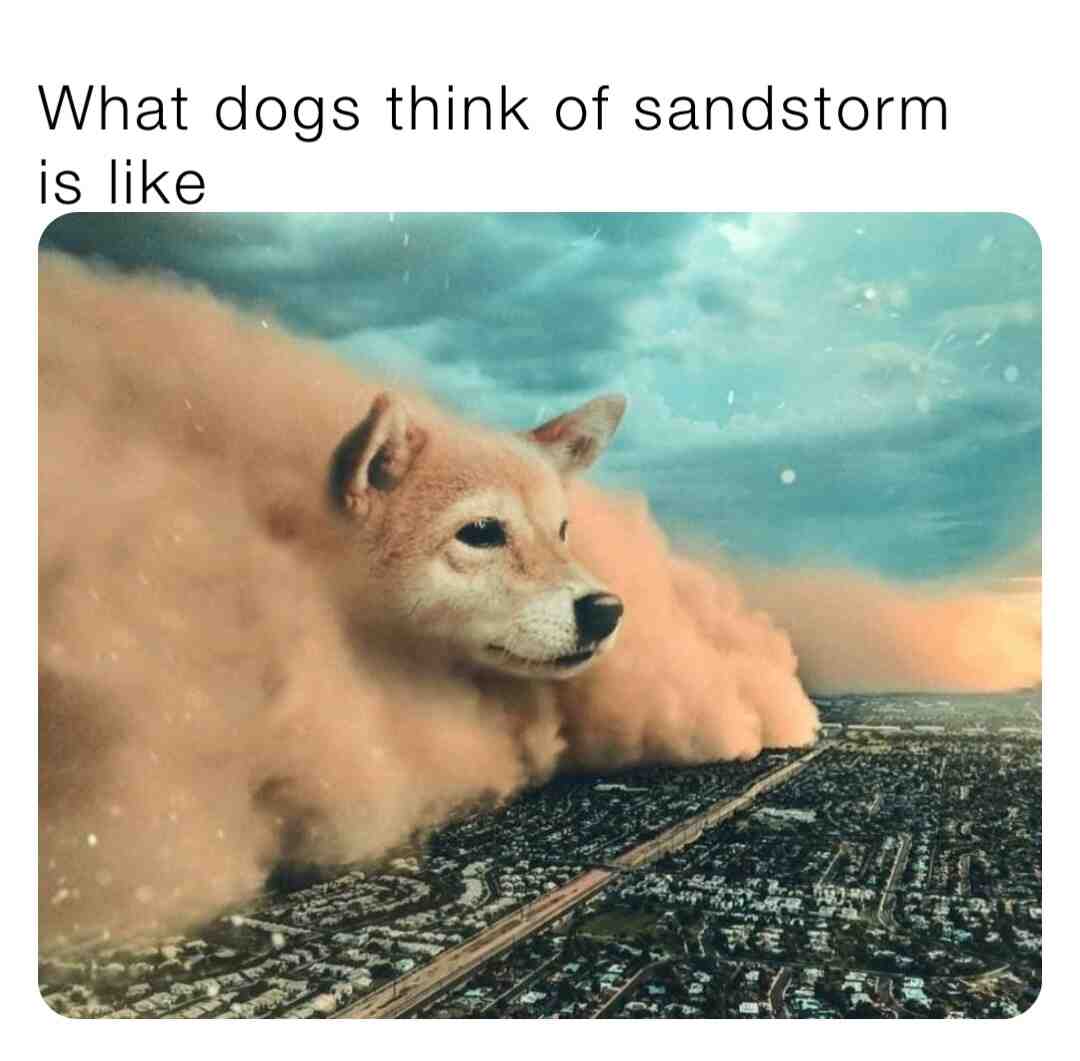 Meme shared by @memereporter
