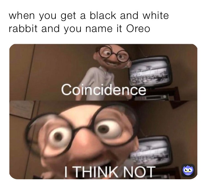 when you get a black and white rabbit and you name it Oreo