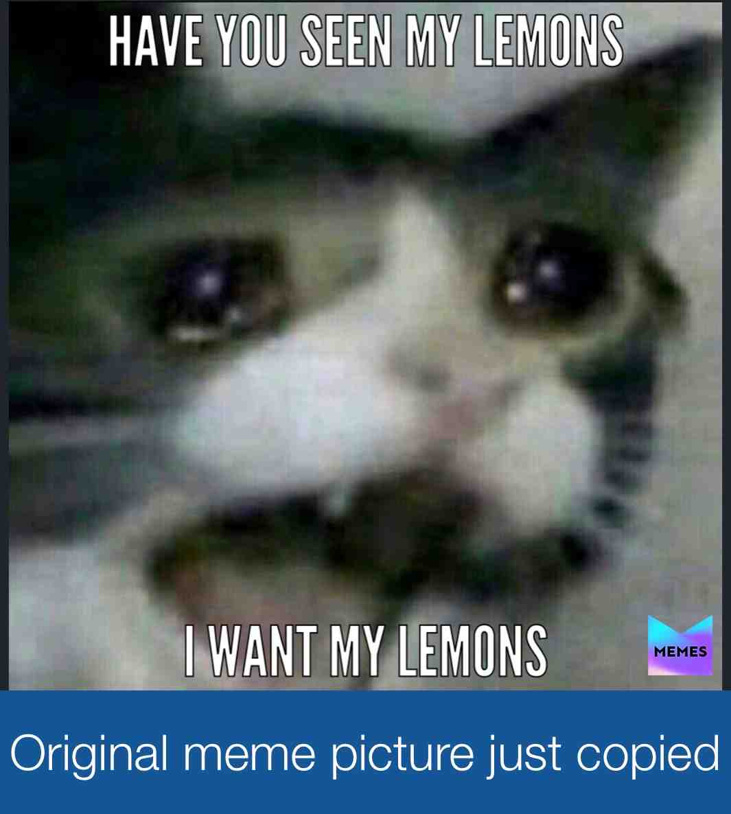 Seriously dude you have been looking for you lemons for the past 5 years XD #memes