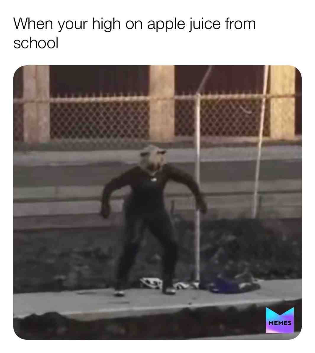 #memes