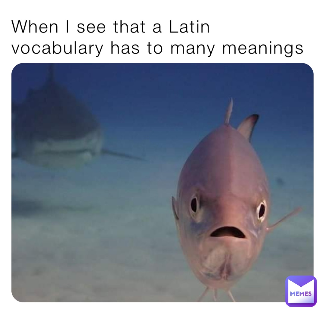 Meme by der_blobbigge_Blob