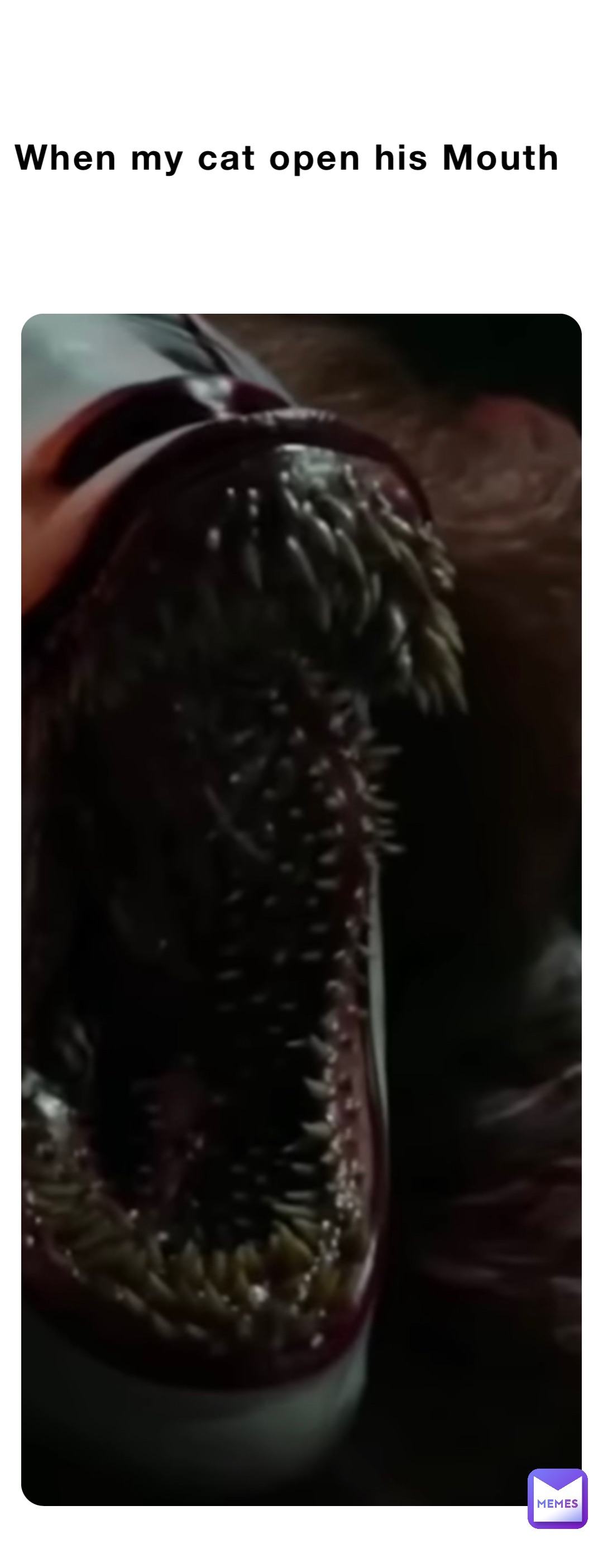 Meme by der_blobbigge_Blob