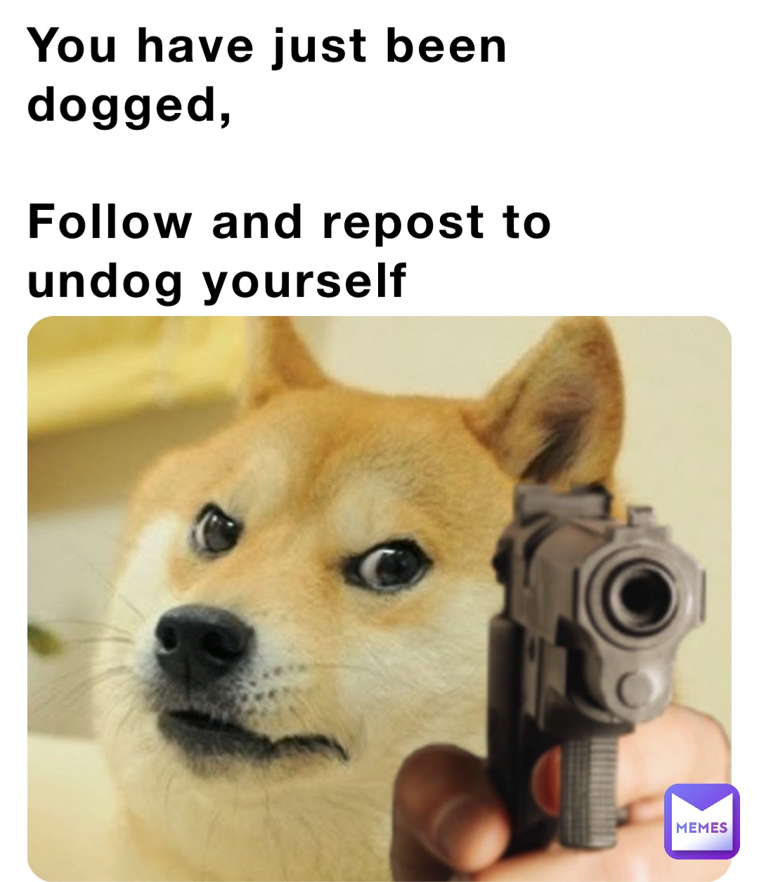 You have just been dogged, 

Follow and repost to undog yourself
