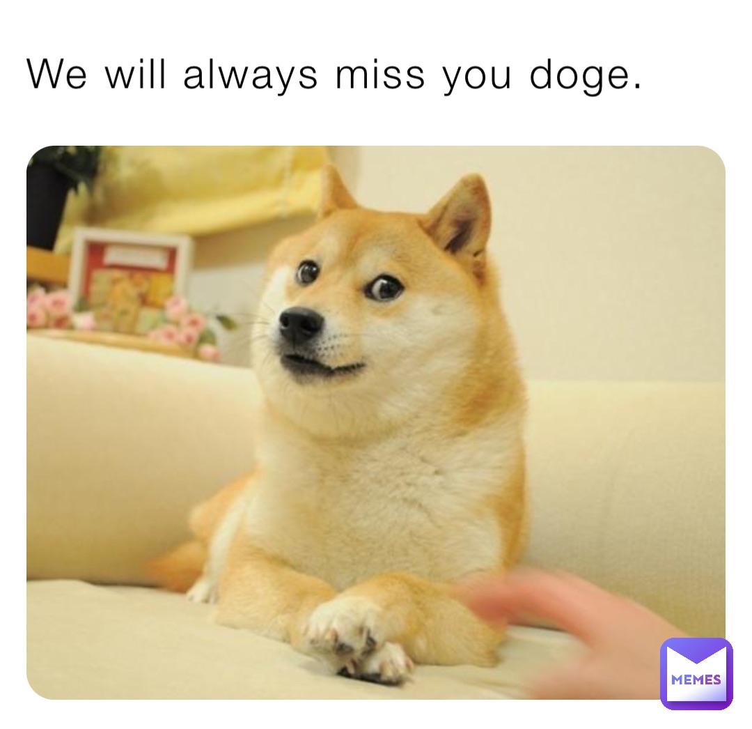 We will always miss you doge.