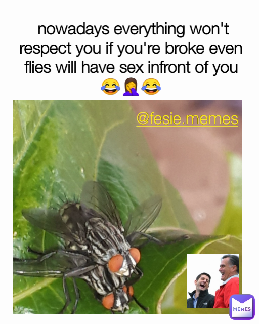 @fesie.memes  nowadays everything won't respect you if you're broke even flies will have sex infront of you😂🤦😂