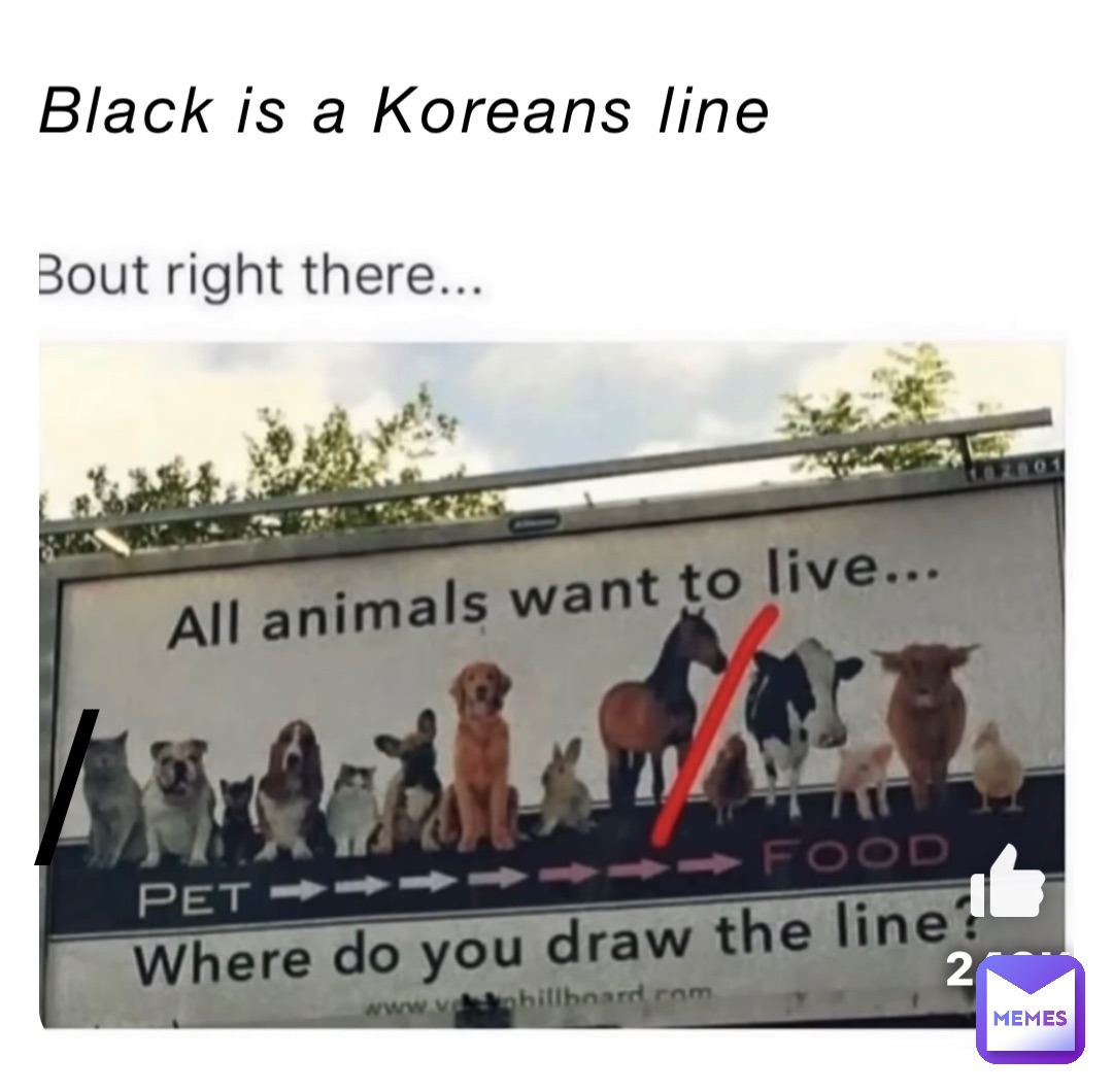Black is a Koreans line /