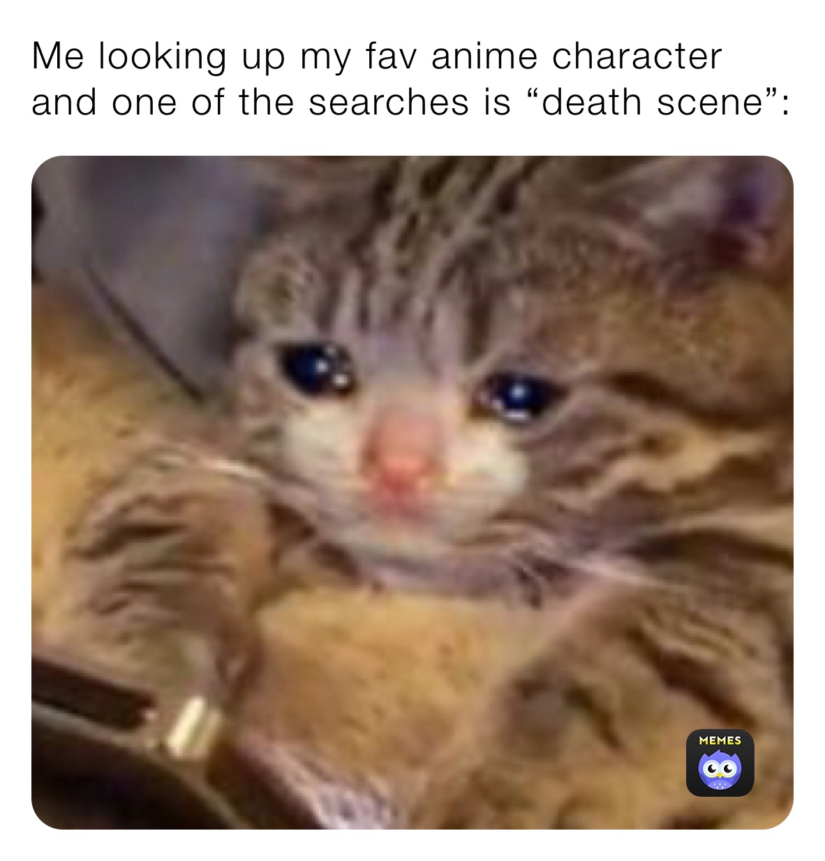 Me looking up my fav anime character and one of the searches is “death scene”: