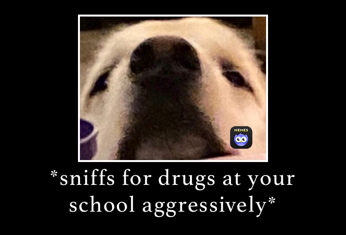 *sniffs for drugs at your school aggressively*
