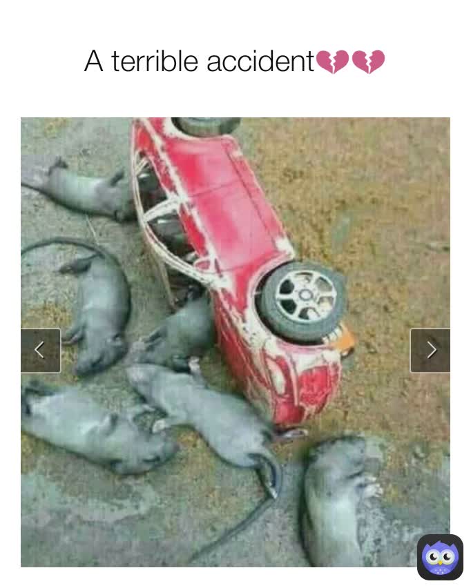 A terrible accident💔💔