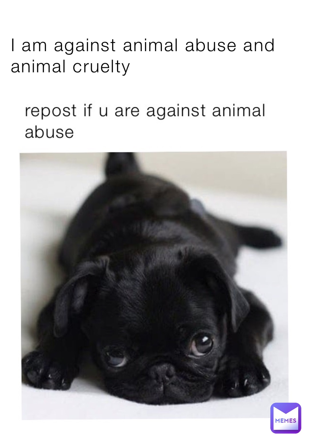 I am against animal abuse and animal cruelty