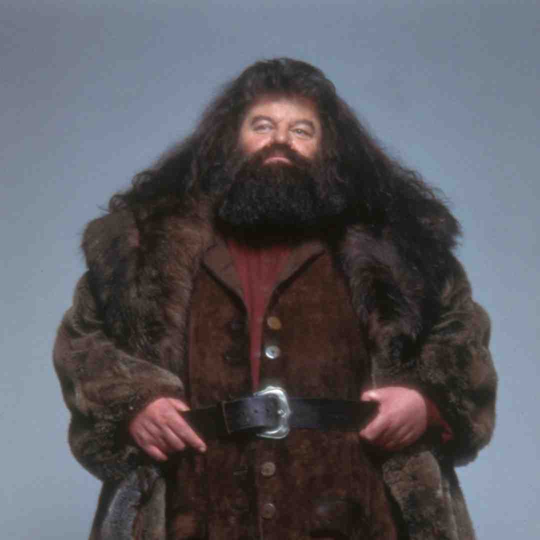 Rip hagrid