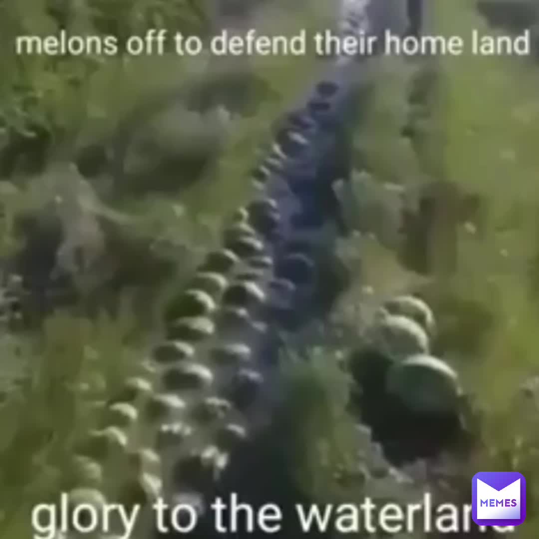 Meme shared by @gru_is_hot