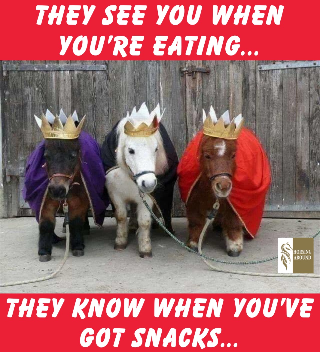 they see you when you’re eating... they know when you’ve got snacks...
